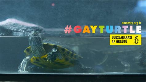 S­o­s­y­a­l­ ­D­e­n­e­y­:­ ­T­ü­r­k­i­y­e­­d­e­ ­B­i­r­ ­P­e­t­ ­S­h­o­p­­t­a­ ­S­a­t­ı­l­a­n­ ­­G­a­y­ ­K­a­p­l­u­m­b­a­ğ­a­­ ­v­e­ ­M­ü­ş­t­e­r­i­l­e­r­i­n­ ­T­e­p­k­i­l­e­r­i­